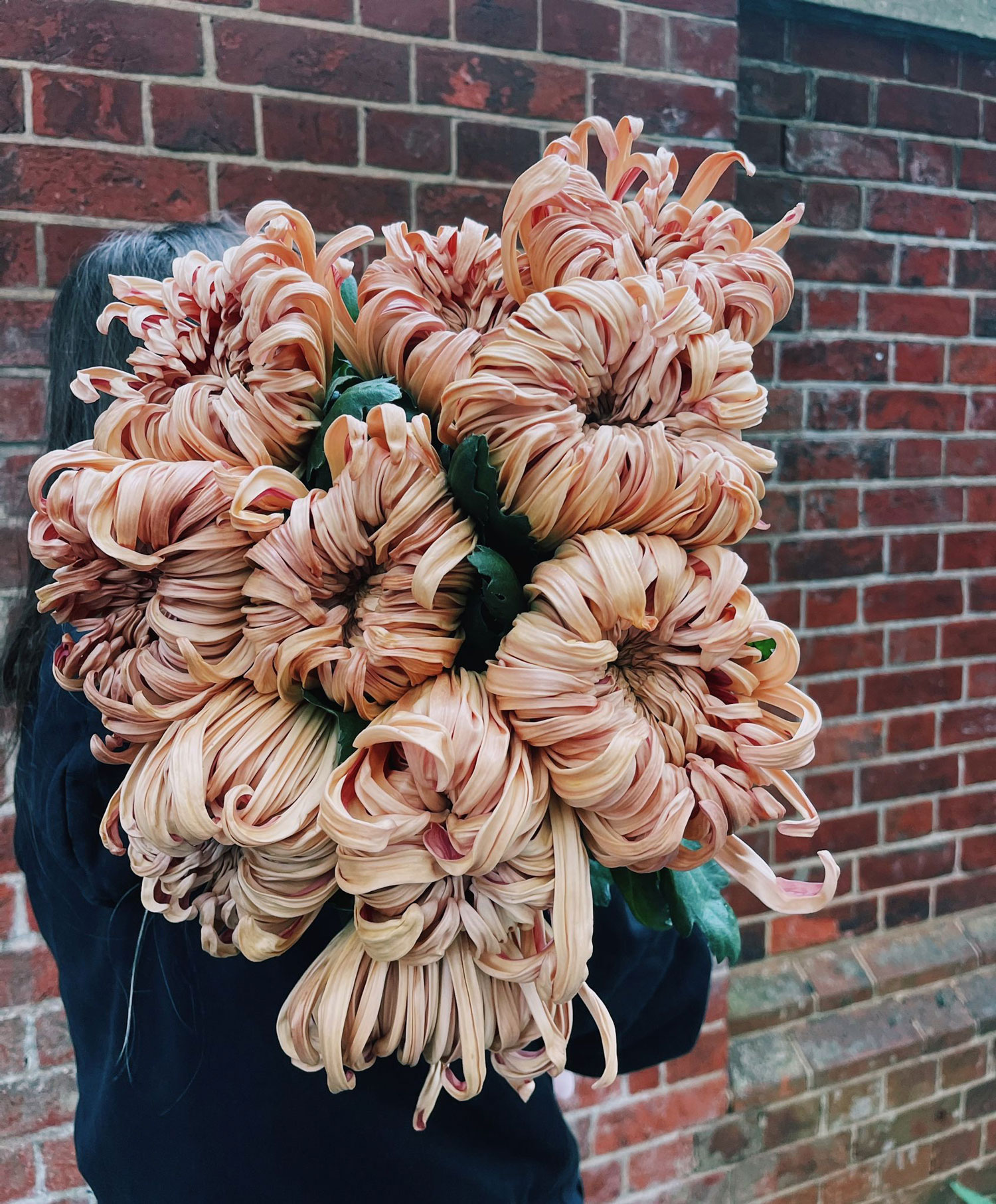 whats-in-season-october